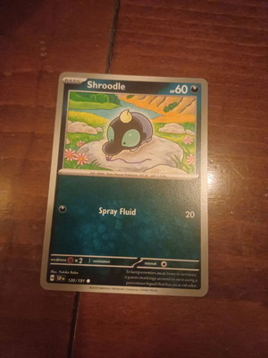Pokemon card new