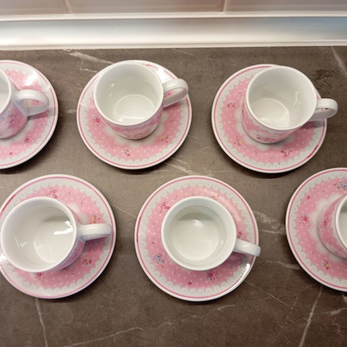 Modern House coffee cup set of 6, pink roses