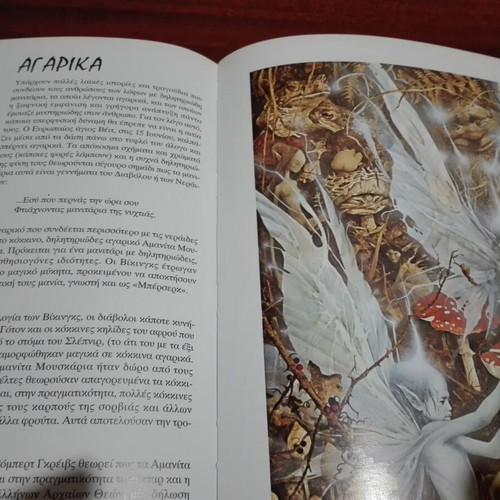 Fairies by Alan Lee book like new, mythology and folklore