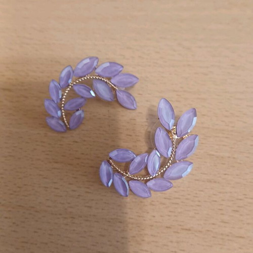 Earrings with purple stones new