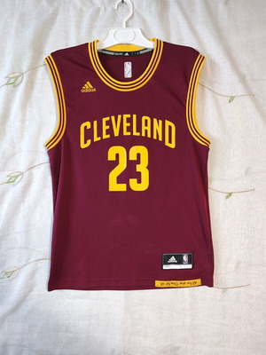 LeBron James #23 Cleveland Cavaliers Adidas NBA Swingman Jersey like new