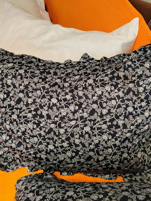 Μαξιλαροθήκες σαλονιού σαν καινούργιες, σετ 2, μπλε με λουλούδια