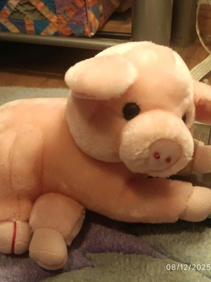 Stuffed pig used, excellent condition