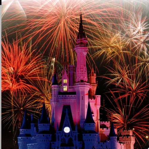 DK Eyewitness Travel Guide Walt Disney World Resort & Orlando new