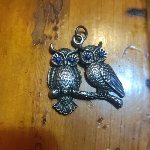 Silver pendant with two owls and dark blue stones