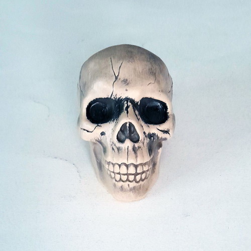 Decorative skull new, plastic