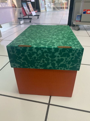 Y2K cardboard storage box