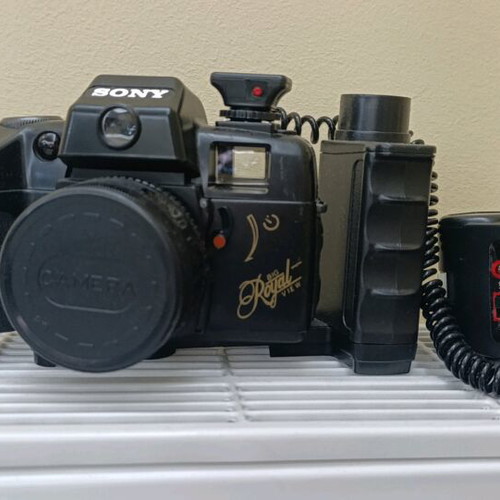 Sony camera used