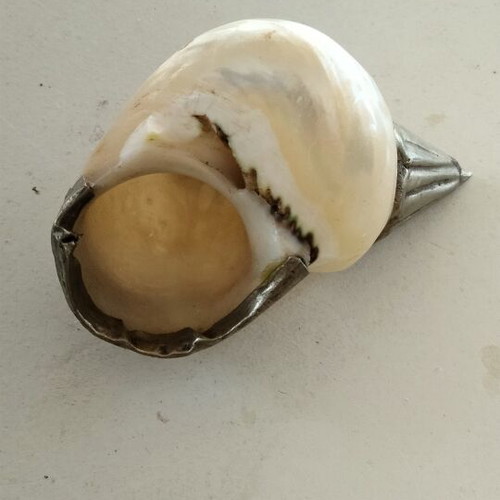 Vintage Tibetan Ritual Shell 7cm with Turquoise and Civet, like new