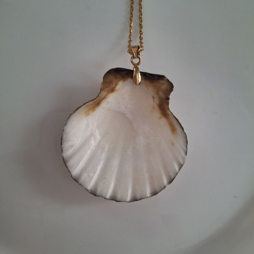 Necklace like new with shell pendant