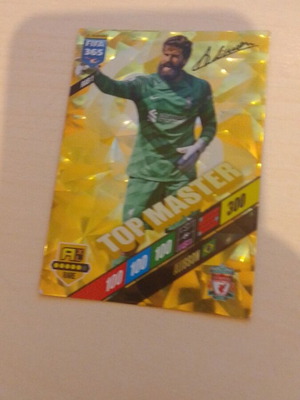 Top master 2024 new cards