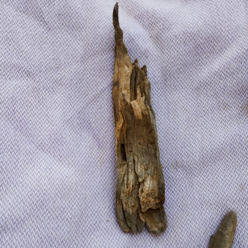 Driftwood pieces for decoration and crafts