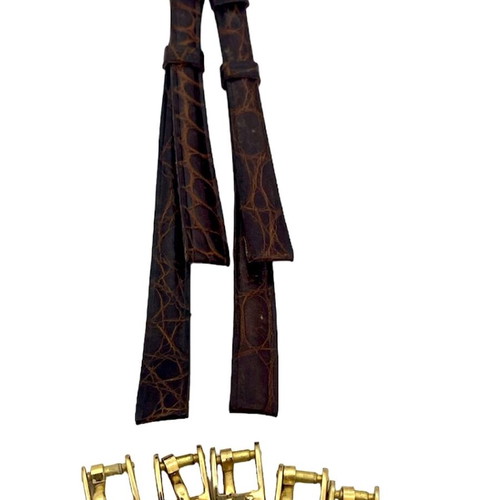 Omega women's watch straps pack