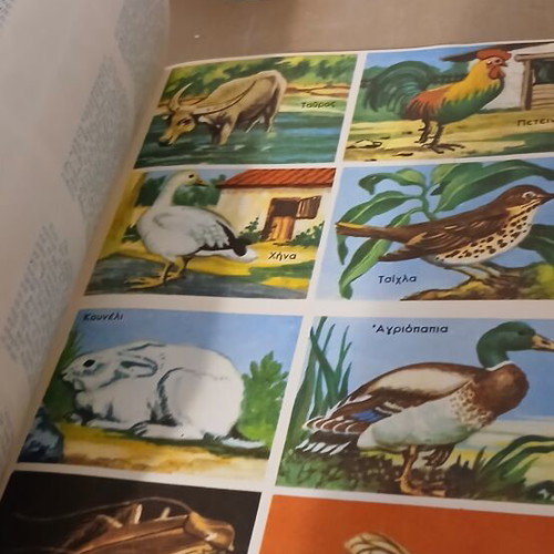 Natural History books used, pack of 2, animals and plants