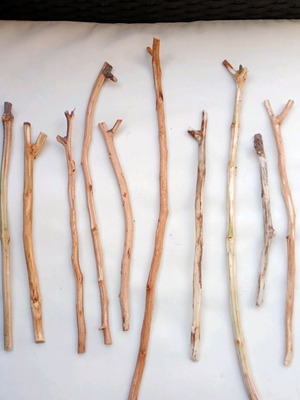 Wooden perches for cages new, set of 10 pieces