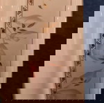  πυρέξ