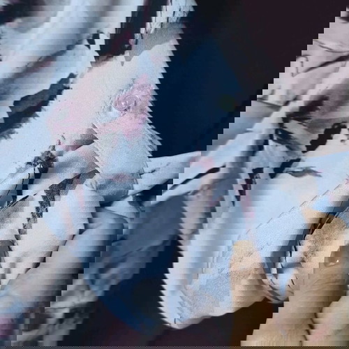 Calvin Klein Shirt New, Worn Once, White Red