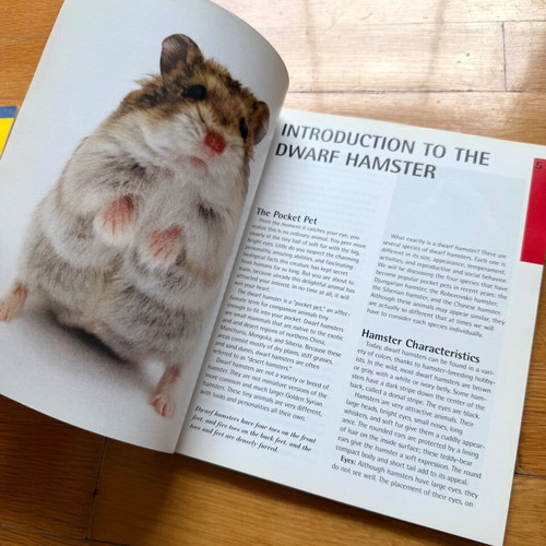 Dwarf Hamster Care Books new, set of 2, English