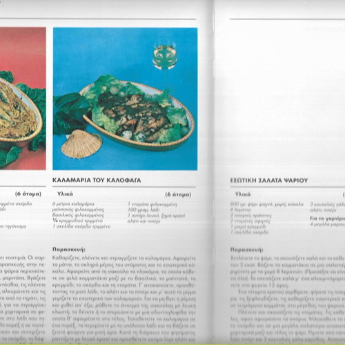 Idaniki Kouzina Cookbook like new, international cuisine