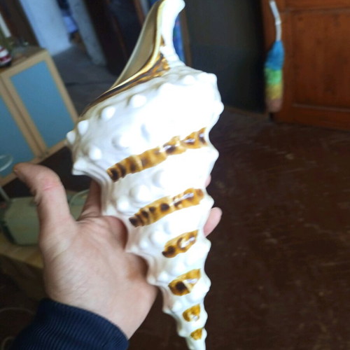 Ceramic wall decoration shell vase new