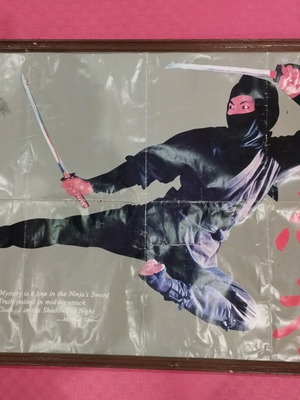 Ninja poster used with aerial kick and swords