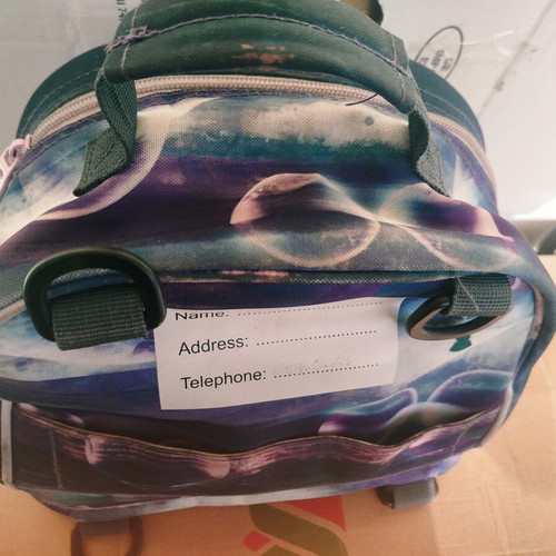 Lunch bag used, good condition