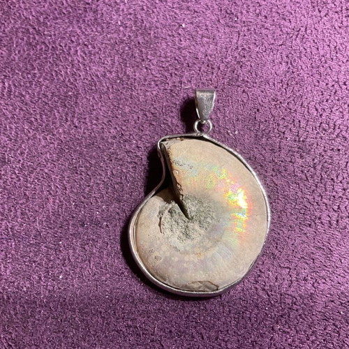 Ammonite pendant new