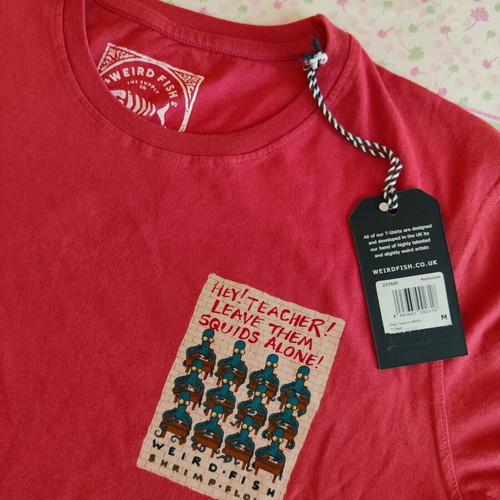Hey Teacher Artist T-Shirt new, size M, light red