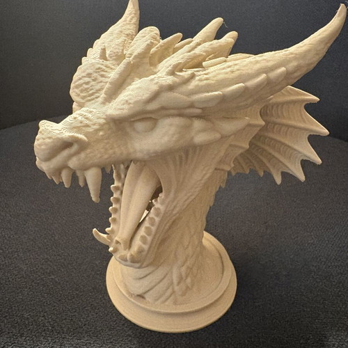 Dragon Bust 3D Printed fantasy decor new