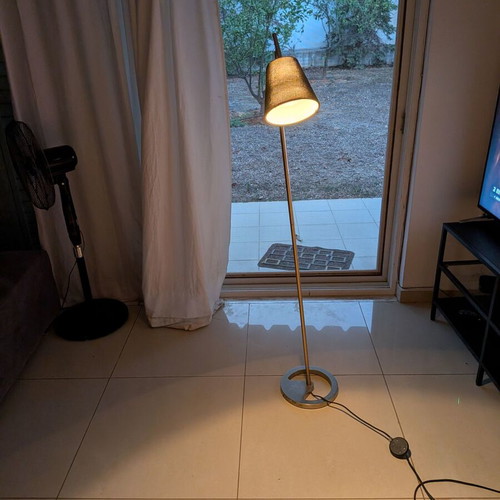 Floor lamp with adjustable arm
