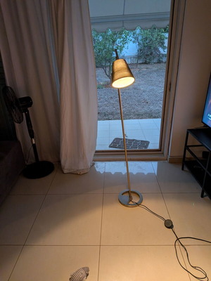 Floor lamp with adjustable arm