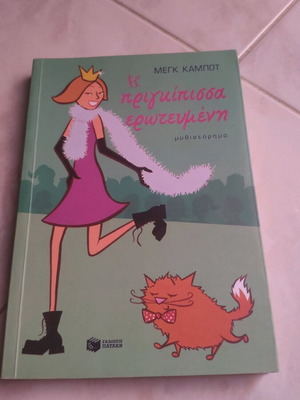 The Princess in Love novel like new