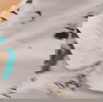  πουκάμισο 11 12 ετών αγόρι