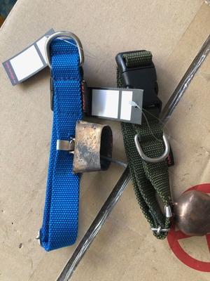 Collar with Bell for Hunting Dogs New, Blue or Green
