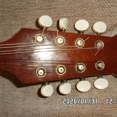 Italian Mandolin used with waterproof case and pickup
