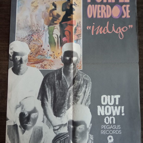 Purple Overdose poster new, size 56x41 cm