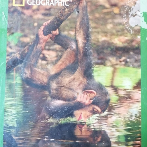 National Geographic Chimpanzee Puzzle new 1000 pcs