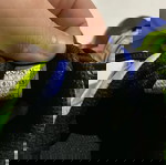  ASICS Παιδικά