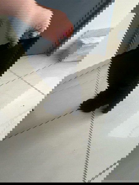Sante