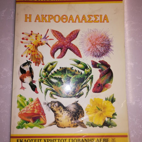 Usborne Observation Guide The Seashore