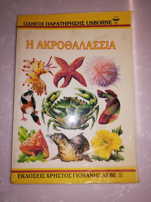 Usborne Observation Guide The Seashore