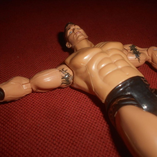 WWE Wrestling Randy Orton Action Figure 2003 used