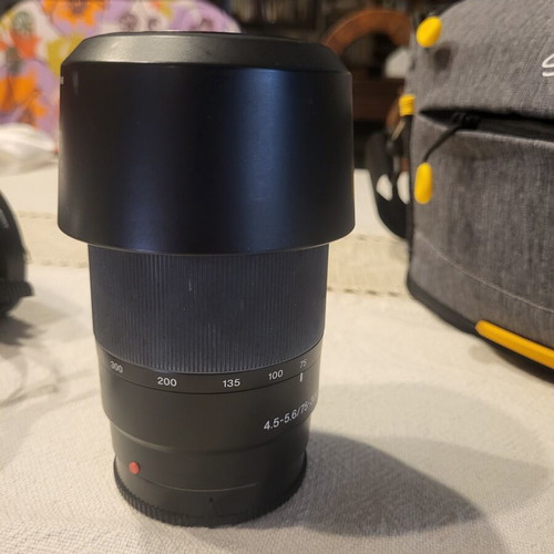 Sony A-100 camera kit used with case and two zoom lenses