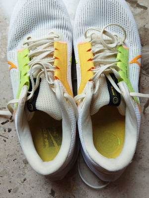 Nike Pegasus 40 running shoes like new, size 44, multicolor