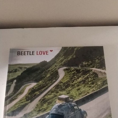 Beetle Love book new, English