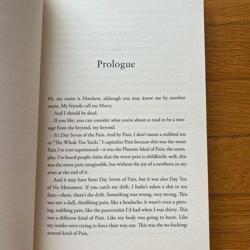 Friends, lovers, and the big terrible thing memoir like new