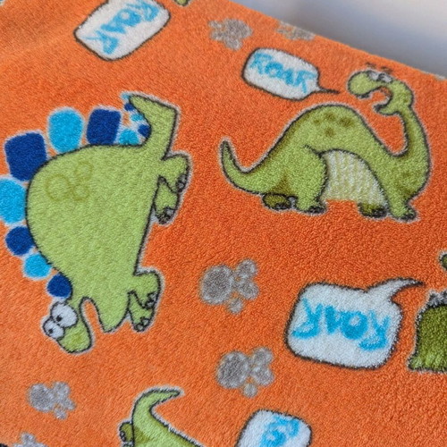 Children's fleece blanket used with dinosaurs