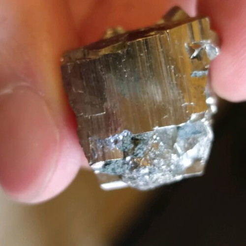 Pyrite gold color with characteristic shape new collection specimen