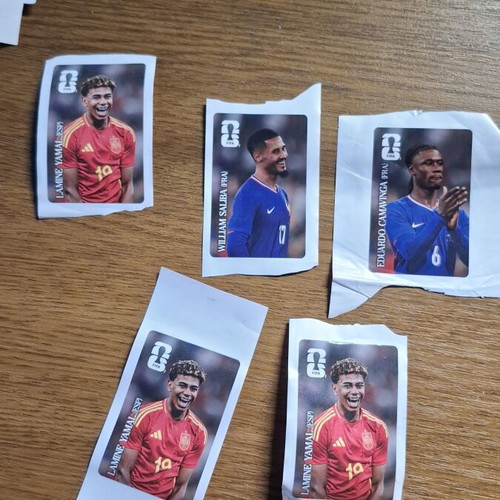 Panini FIFA World Cup Mundial 2026 stickers new