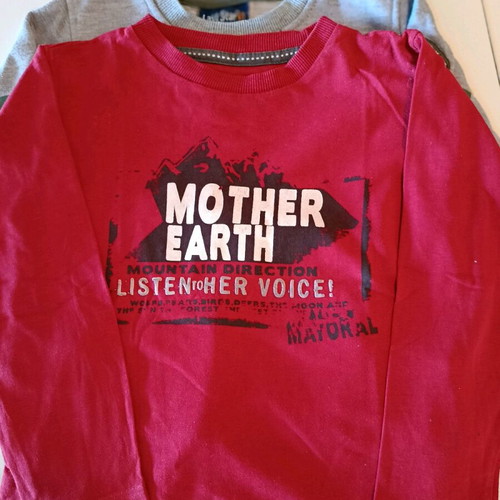 Pack of 5 boys' t-shirts age 3 like new, Orchestra and Spider
